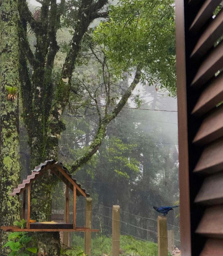 Recanto Das Gralhas São Francisco de Paula Exterior foto